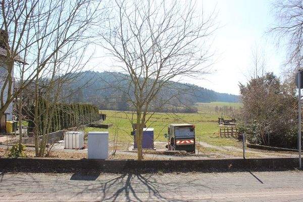 Bild III - Kopie.JPG