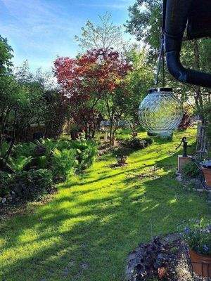 Garten Bild 2.jpg