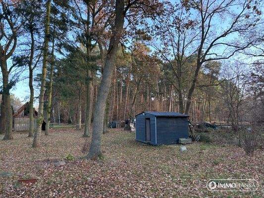 Grundstück mit möglichen Bauplatz