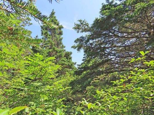 Nova Scotia - Grover?s Point - Wunderschönes Uferg