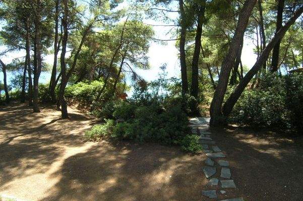 VILLA HALKIDIKI SITHONIA