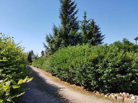 Zufahrt, Blickrichtung Straße