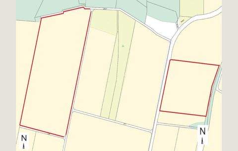 Eichendorf Bauernhöfe, Landwirtschaft, Eichendorf Forstwirtschaft