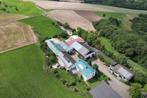 Becherbach Bauernhöfe, Landwirtschaft, Becherbach Forstwirtschaft