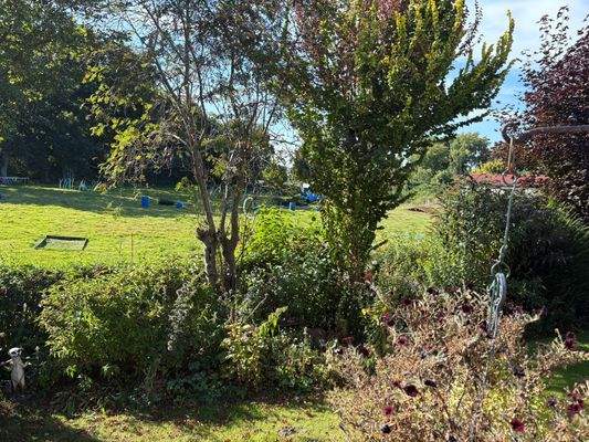 Unverbaubarer Blick von der Terrasse auf das Nachbargrundstück