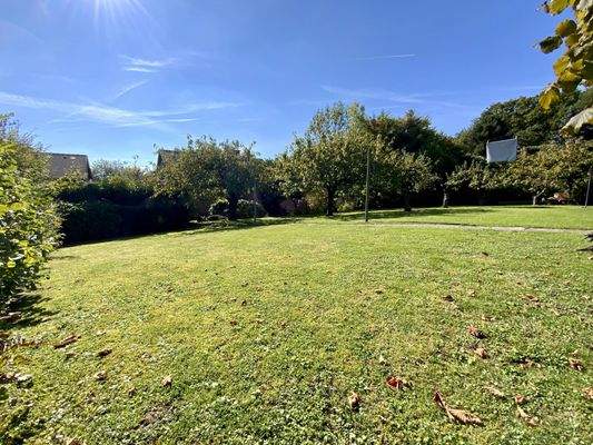 viel Platz zum Spielen