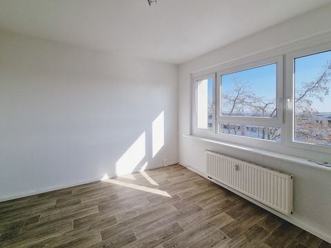 Dresden Wohnungen, Dresden Wohnung mieten