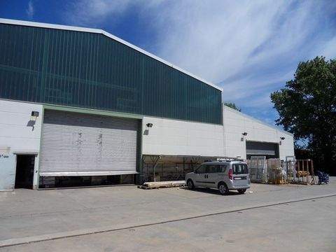 Griesheim Halle, Griesheim Hallenfläche