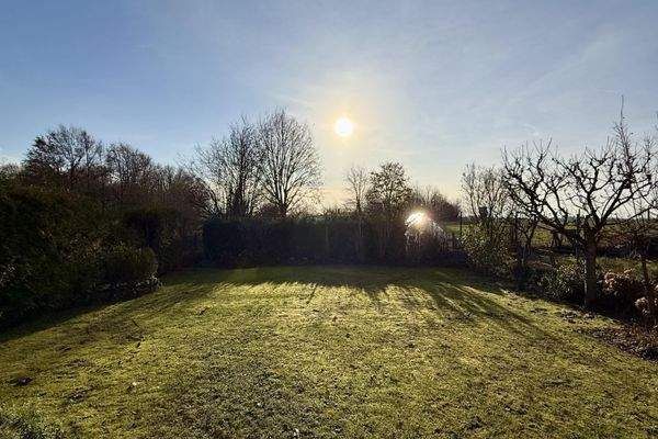 Ihr zukünftiger Garten.