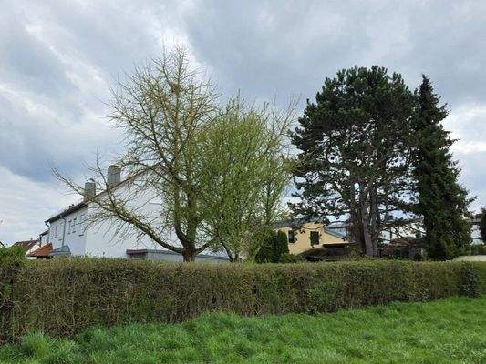 Aussenansicht Garten