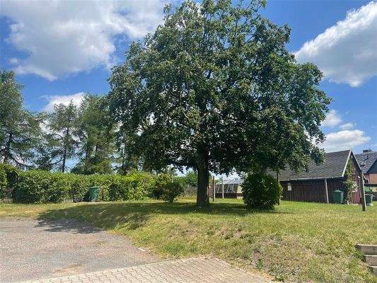 Hinterhof/Grundstück