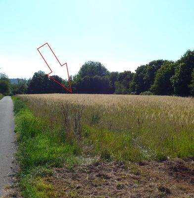 Blick auf eine Verkaufsfläche