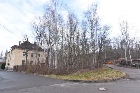 Zwickau Grundstücke, Zwickau Grundstück kaufen