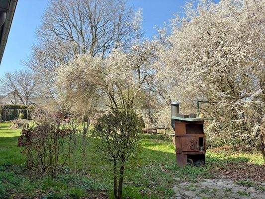 rückseitiger Garten