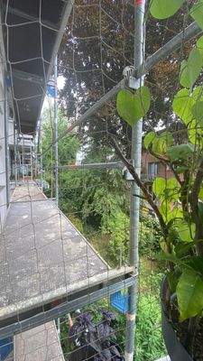 Blick in kleinen Garten mit altem Baumbestand   