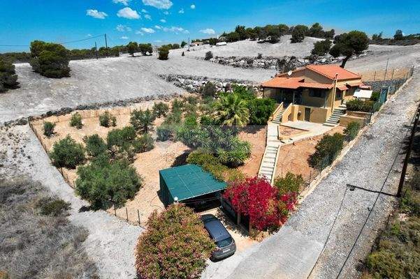 img_eb8df749-874a-46a4-908a-f130e5aa228d