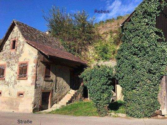 Bildschirmfoto 2025-09-03 um 08.59.19.jpg