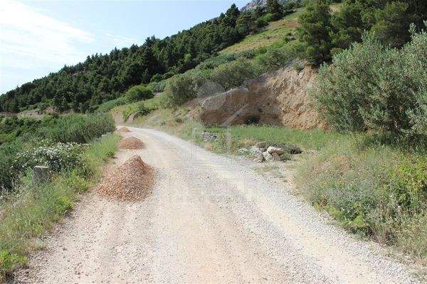 Eine Makadamstraße führt hierher