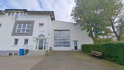 Alzenau Halle, Alzenau Hallenfläche