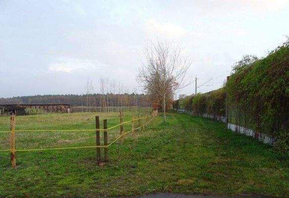 Blick auf das Wohngrundstück