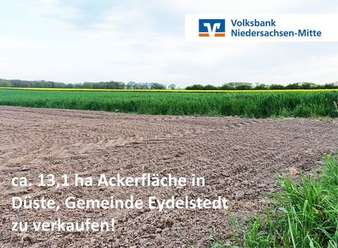 Eydelstedt / Düste Bauernhöfe, Landwirtschaft, Eydelstedt / Düste Forstwirtschaft