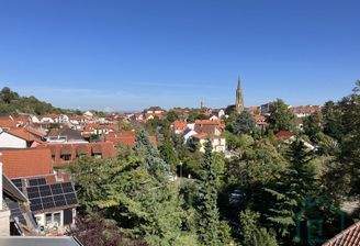 Blick über die Däche von Bad Dürkheim