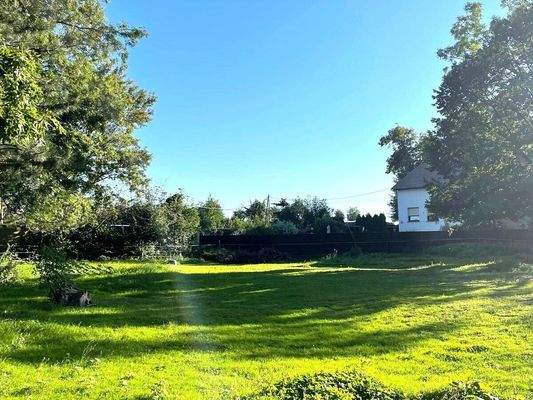 Hier könnte Ihr Zuhause sein