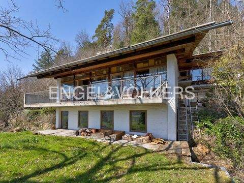 Freiburg im Breisgau Häuser, Freiburg im Breisgau Haus kaufen