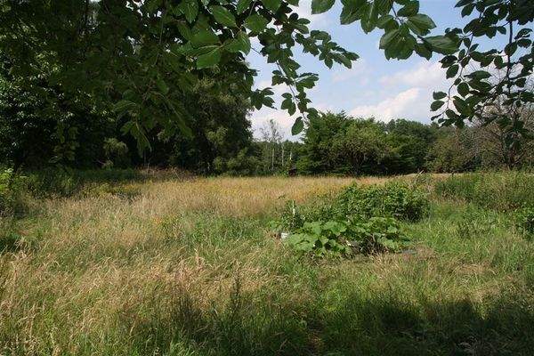 Gartenland + angrenzender Wald