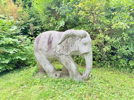 Elefant im Garten