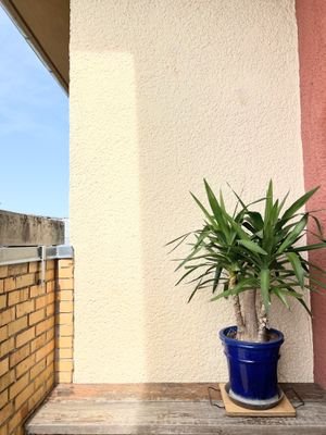 Balkon - Details