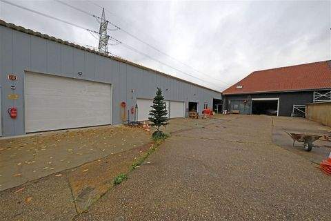 Krefeld Halle, Krefeld Hallenfläche