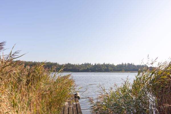 13. Zugang zur Schlei.jpg