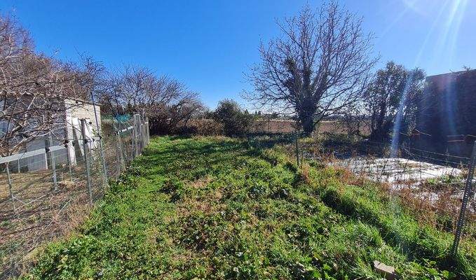 WhatsApp Image 2025-02-12 at 17.32.07 (6).jpeg