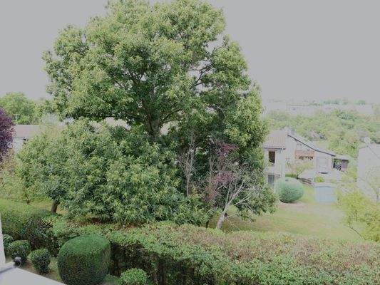 Blick aus dem Küchenfenster