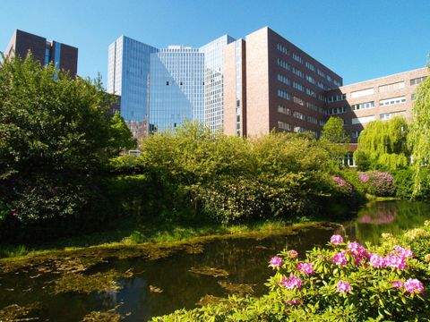 Hamburg Büros, Büroräume, Büroflächen 