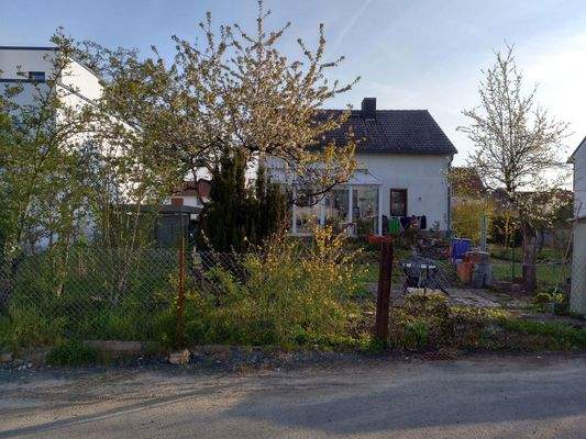 Haus Südseite mit Kirschbaum