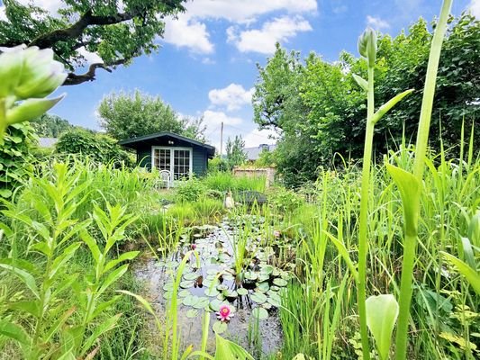 Teich mit Gartenhaus