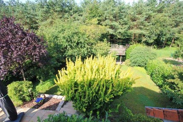 Blick aus DG auf den Garten