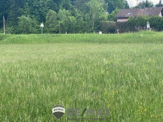 01 Grundstück in Ried am Riederberg