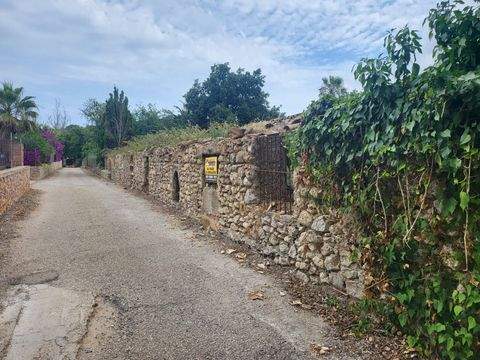 Artà Häuser, Artà Haus kaufen