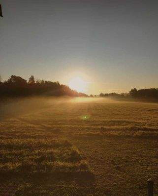 Unverbauter Blick übers Feld