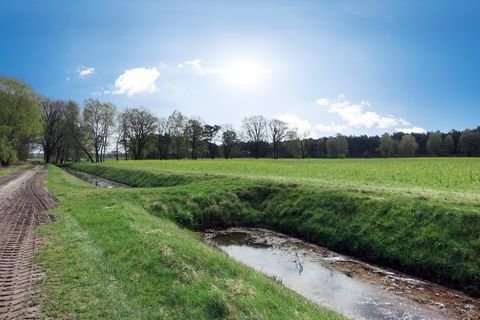 Kirchlinteln / Ludwigslust Bauernhöfe, Landwirtschaft, Kirchlinteln / Ludwigslust Forstwirtschaft