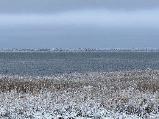 Blick auf Darß/Zingst