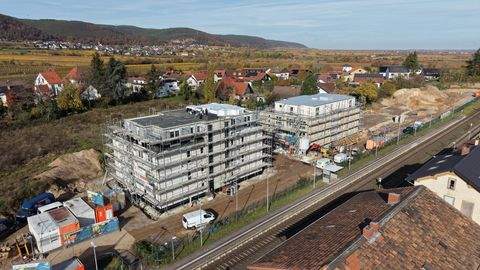 Neustadt an der Weinstraße Wohnungen, Neustadt an der Weinstraße Wohnung kaufen