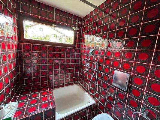 Duschbad Erdgeschoss