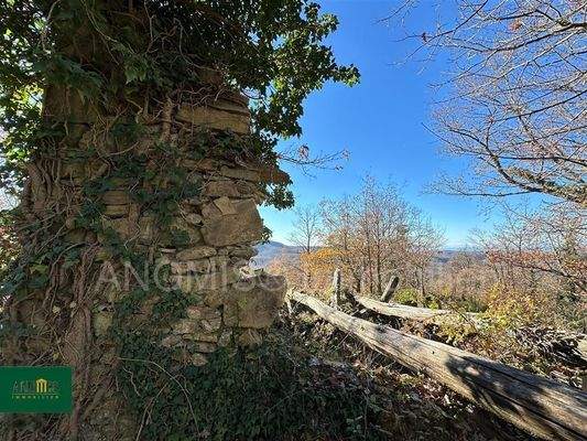 Baugrundstück mit Ruine