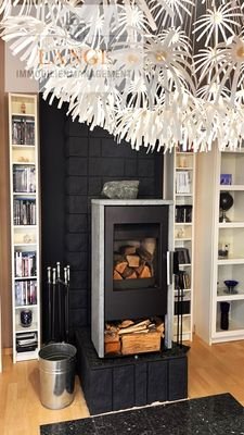 Kamin Wohnzimmer OG