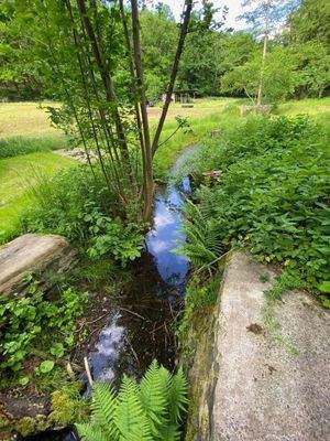 59 Wasserlauf Schneidemühle.jpg