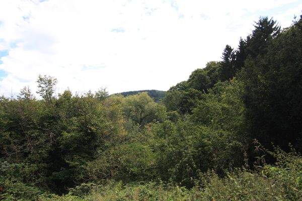 Ansicht von der Straße